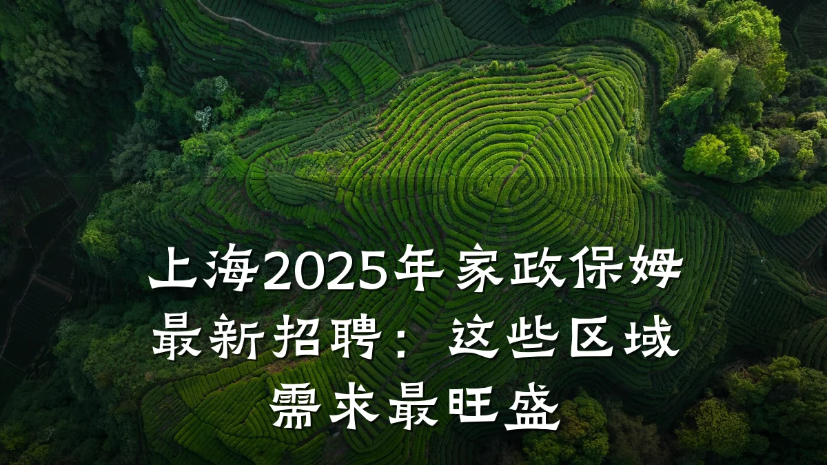 上海2025年家政保姆最新招聘:这些区域需求最旺盛