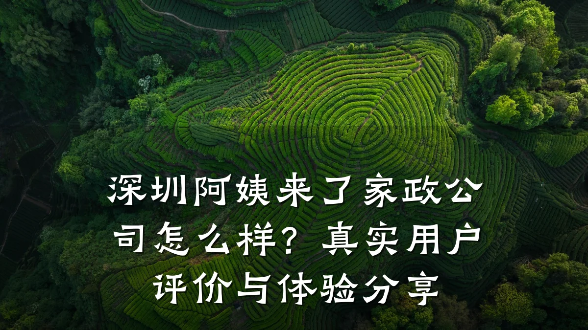 深圳阿姨来了家政公司怎么样?真实用户评价与体验分享
