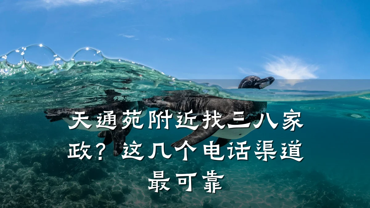 天通苑附近找三八家政?这几个电话渠道最可靠