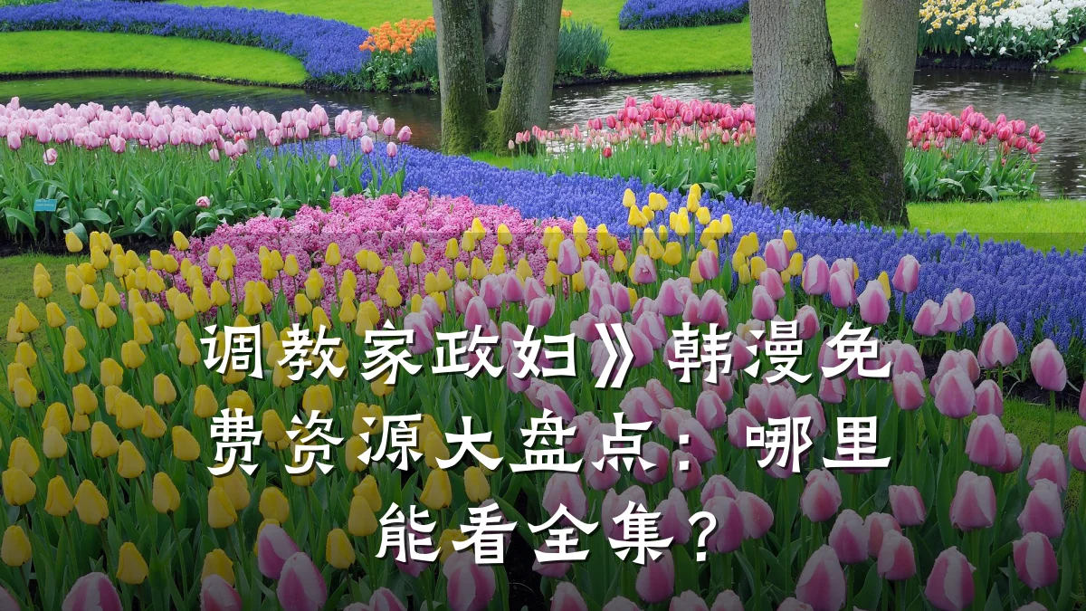 调教家政妇》韩漫免费资源大盘点:哪里能看全集?