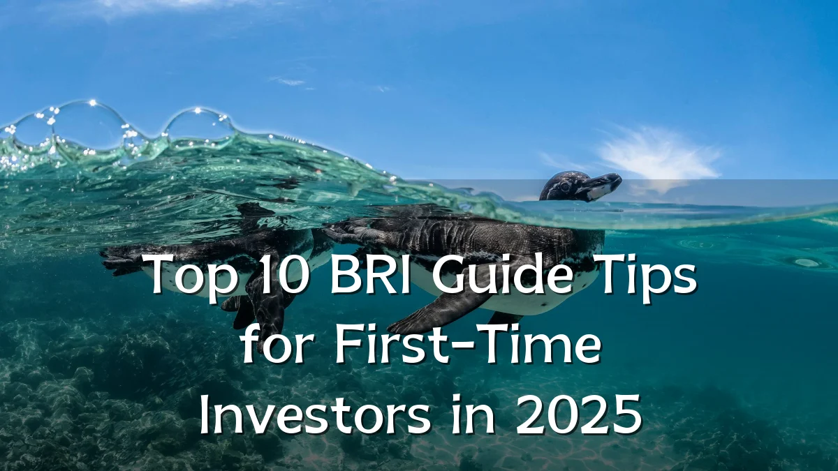 Top 10 BRI Guide Tips for First-Time Investors in 2025