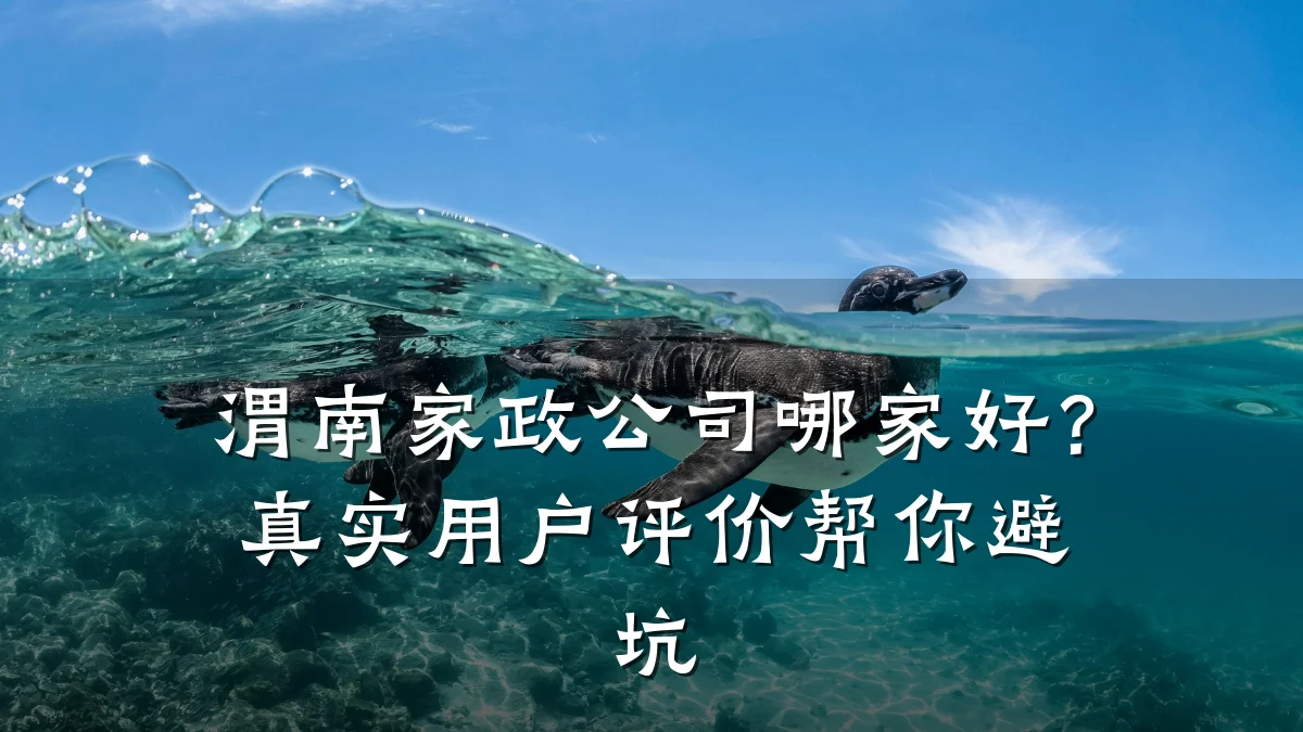 渭南家政公司哪家好?真实用户评价帮你避坑