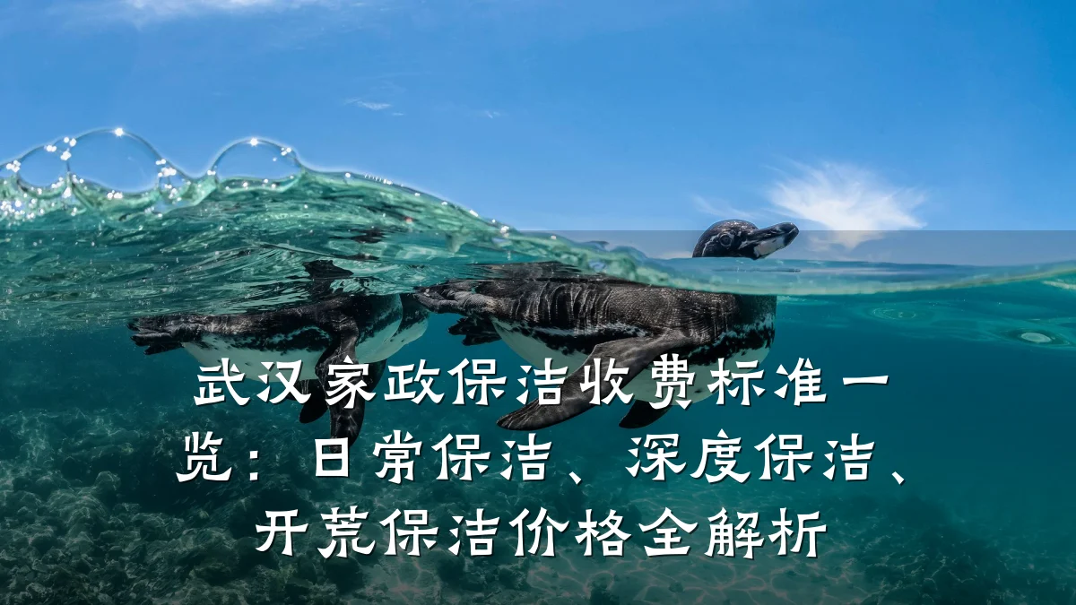 武汉家政保洁收费标准一览:日常保洁、深度保洁、开荒保洁价格全解析