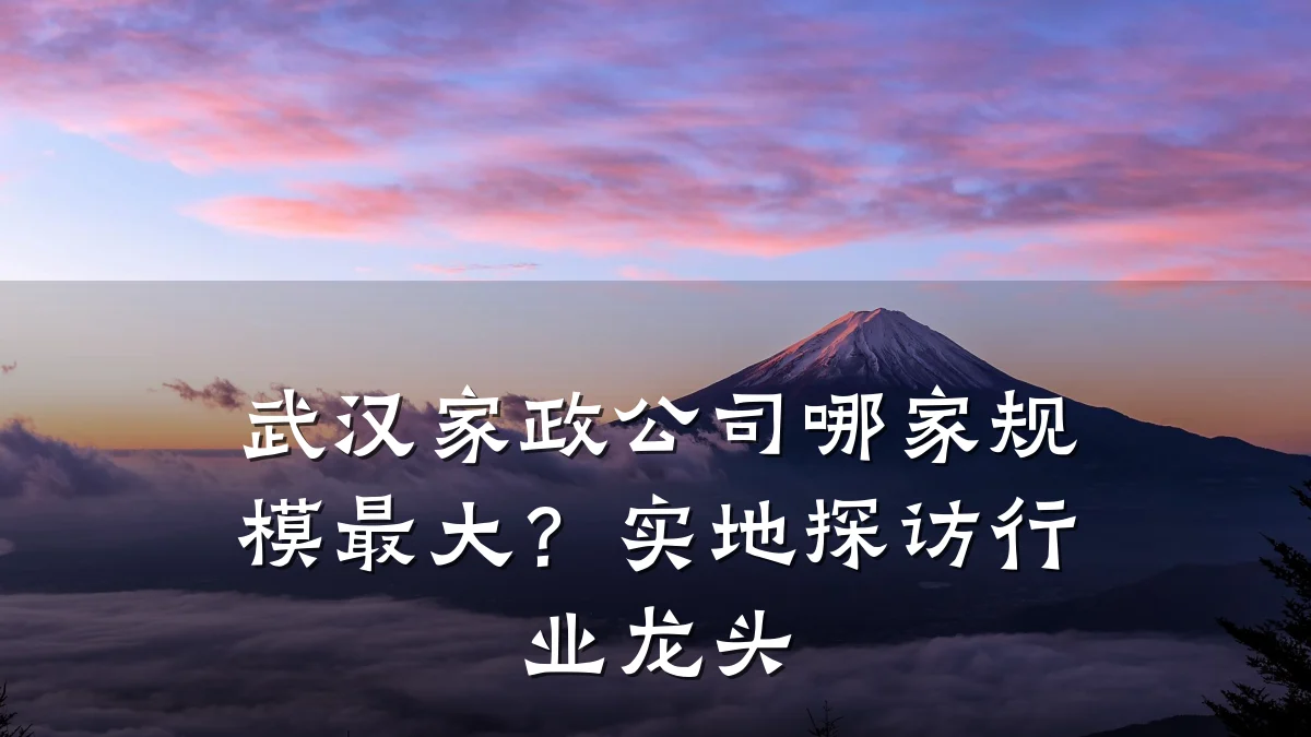 武汉家政公司哪家规模最大?实地探访行业龙头