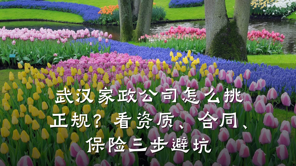 武汉家政公司怎么挑正规？看资质、合同、保险三步避坑