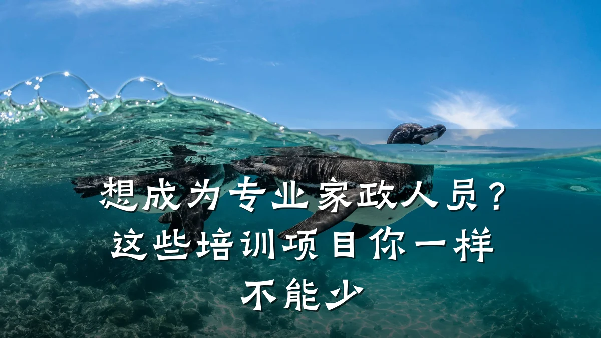 想成为专业家政人员?这些培训项目你一样不能少