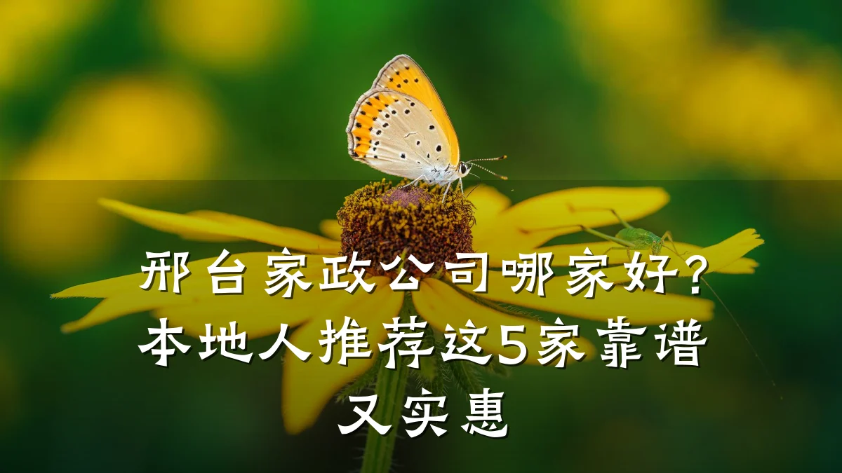 邢台家政公司哪家好？本地人推荐这5家靠谱又实惠