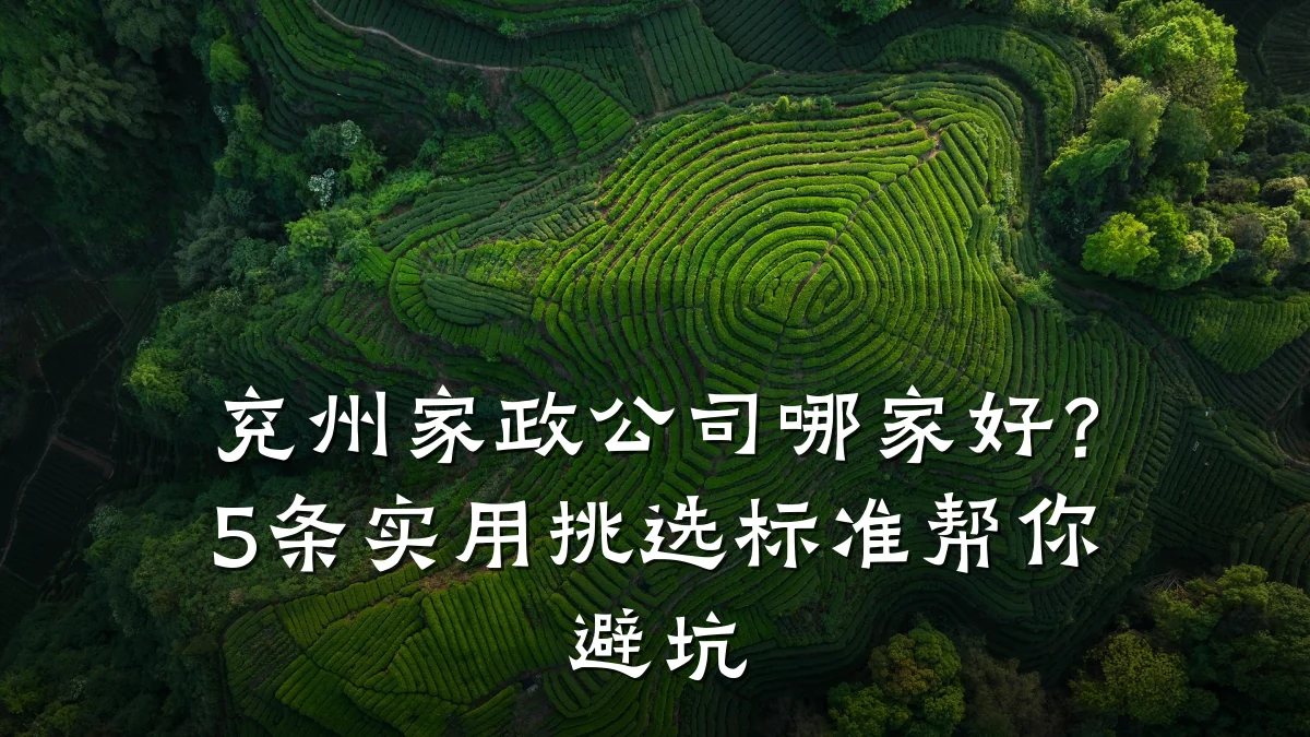 兖州家政公司哪家好?5条实用挑选标准帮你避坑