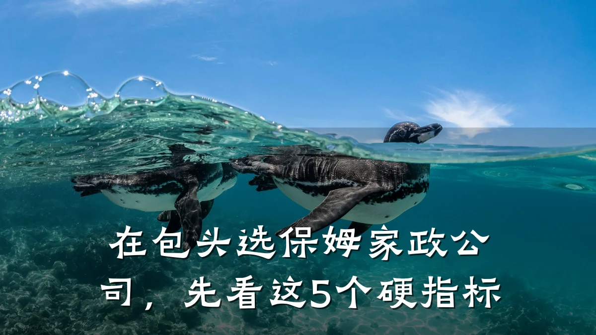 在包头选保姆家政公司,先看这5个硬指标