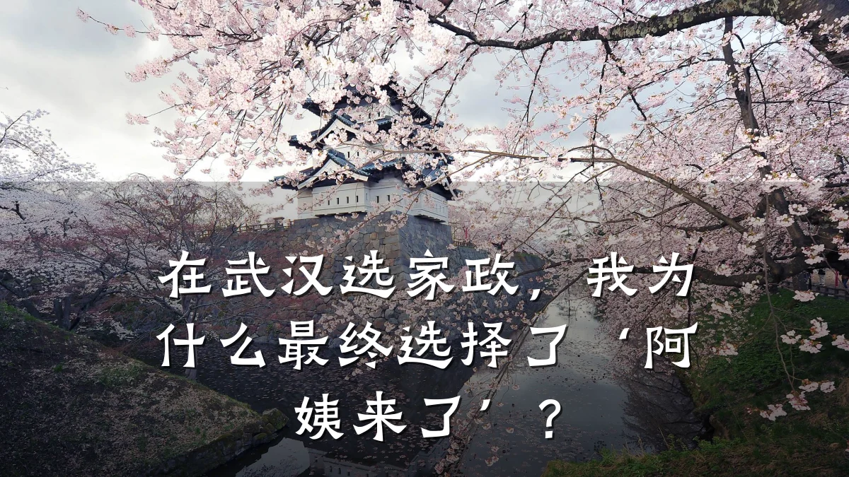 在武汉选家政,我为什么最终选择了‘阿姨来了’?