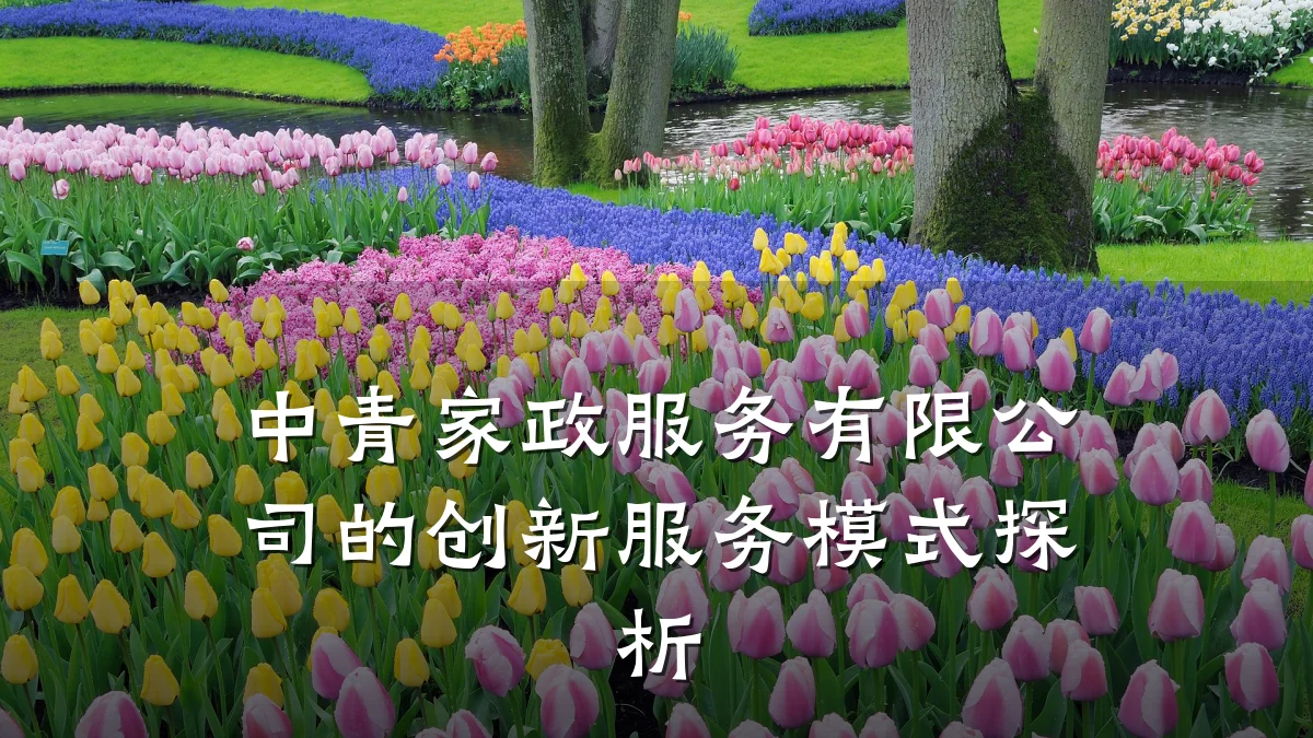 中青家政服务有限公司的创新服务模式探析