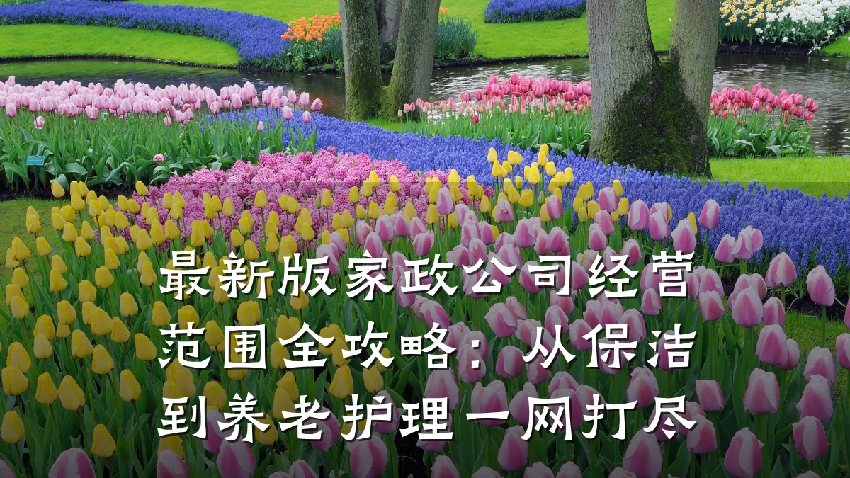 最新版家政公司经营范围全攻略：从保洁到养老护理一网打尽