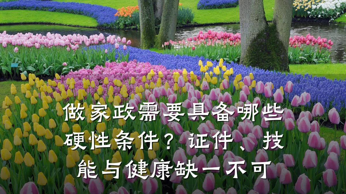 做家政需要具备哪些硬性条件?证件、技能与健康缺一不可