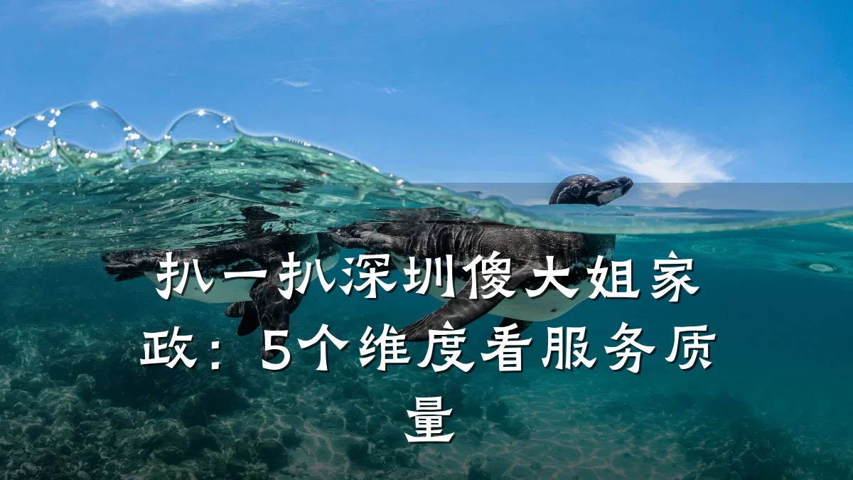 扒一扒深圳傻大姐家政：5个维度看服务质量