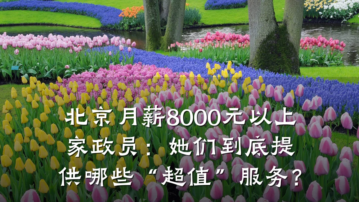 北京月薪8000元以上家政员:她们到底提供哪些“超值”服务?