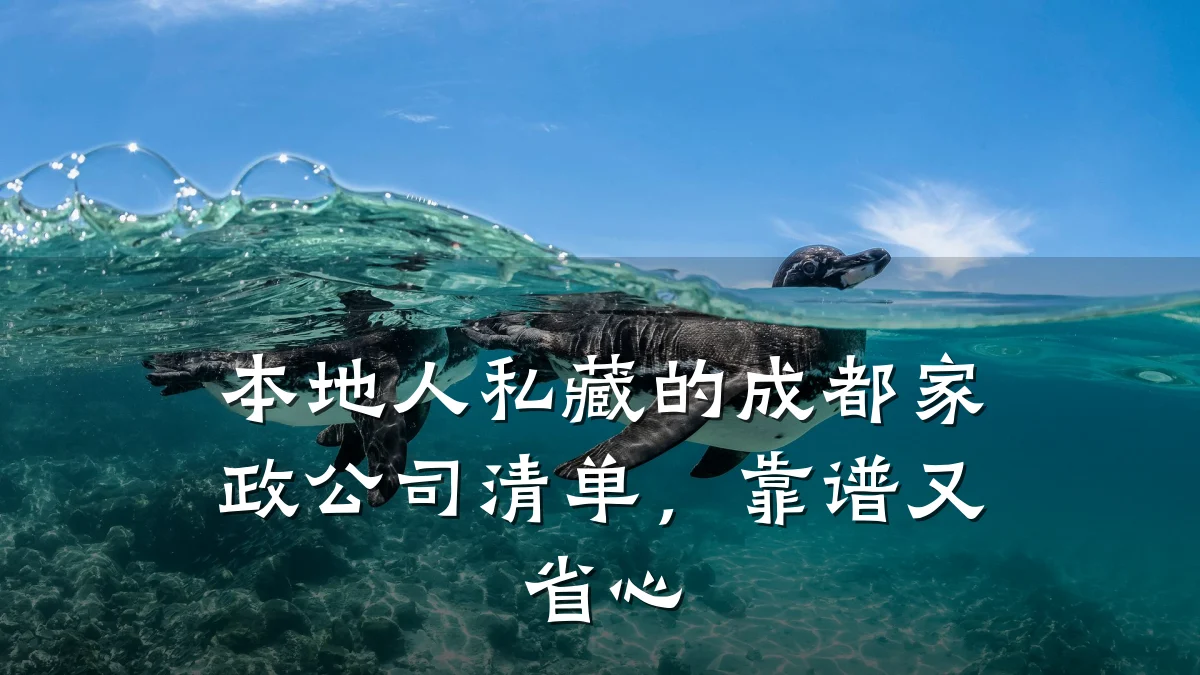 本地人私藏的成都家政公司清单,靠谱又省心