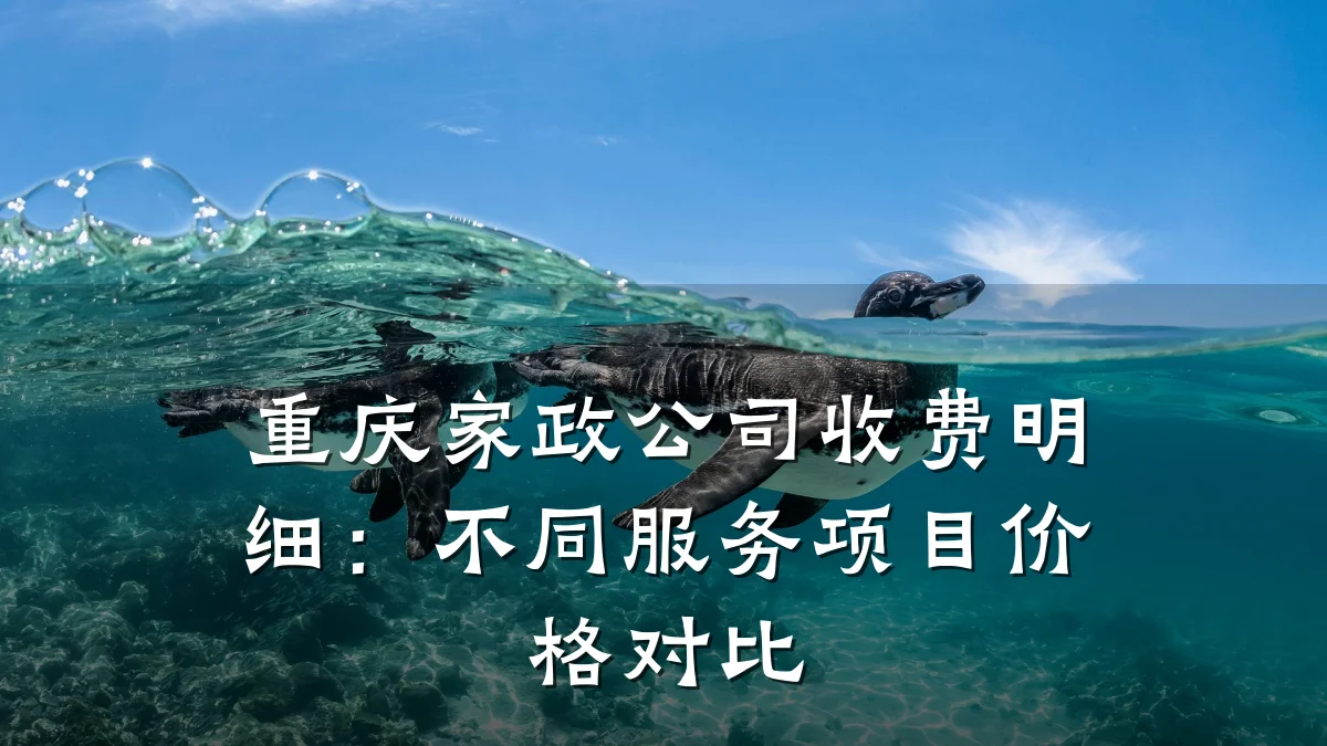 重庆家政公司收费明细:不同服务项目价格对比