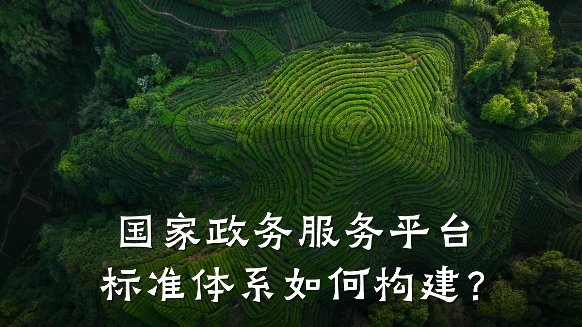 国家政务服务平台标准体系如何构建?