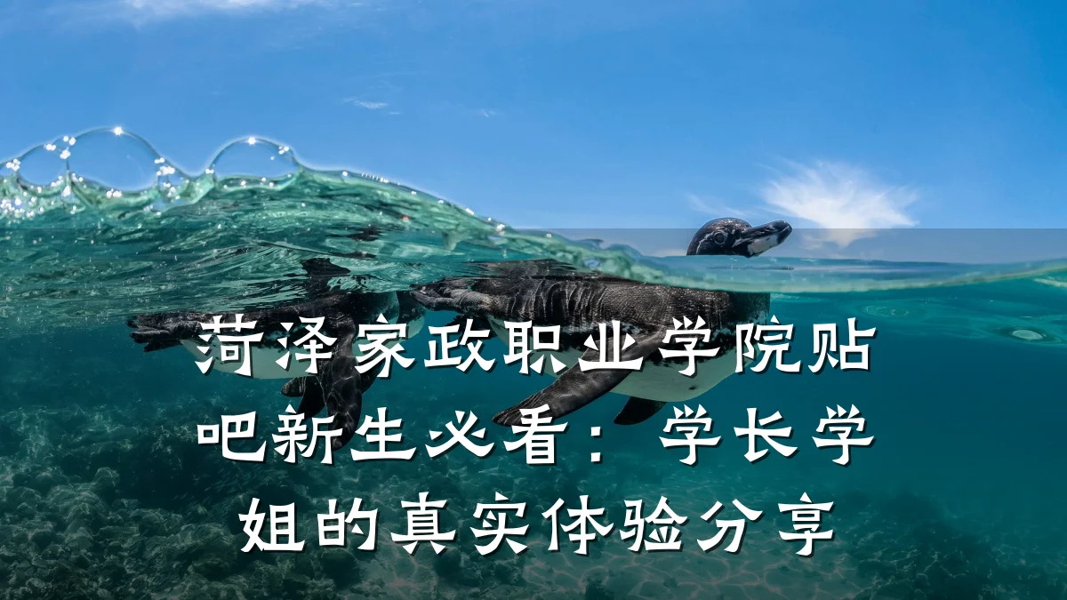 菏泽家政职业学院贴吧新生必看:学长学姐的真实体验分享