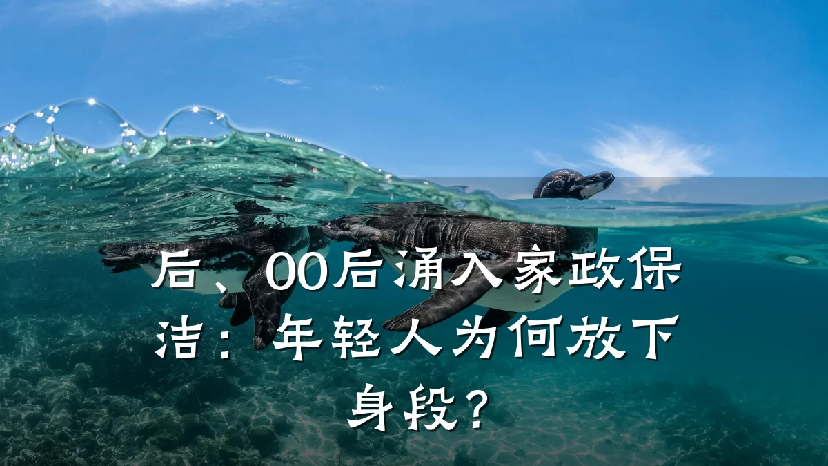 后、00后涌入家政保洁:年轻人为何放下身段?