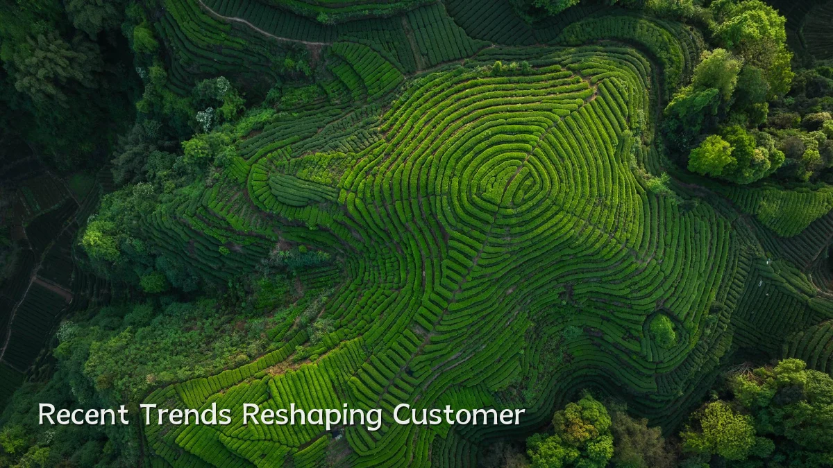 Recent Trends Reshaping Customer