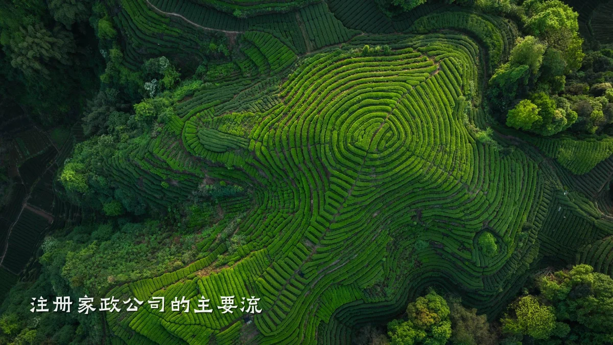 注册家政公司的主要流