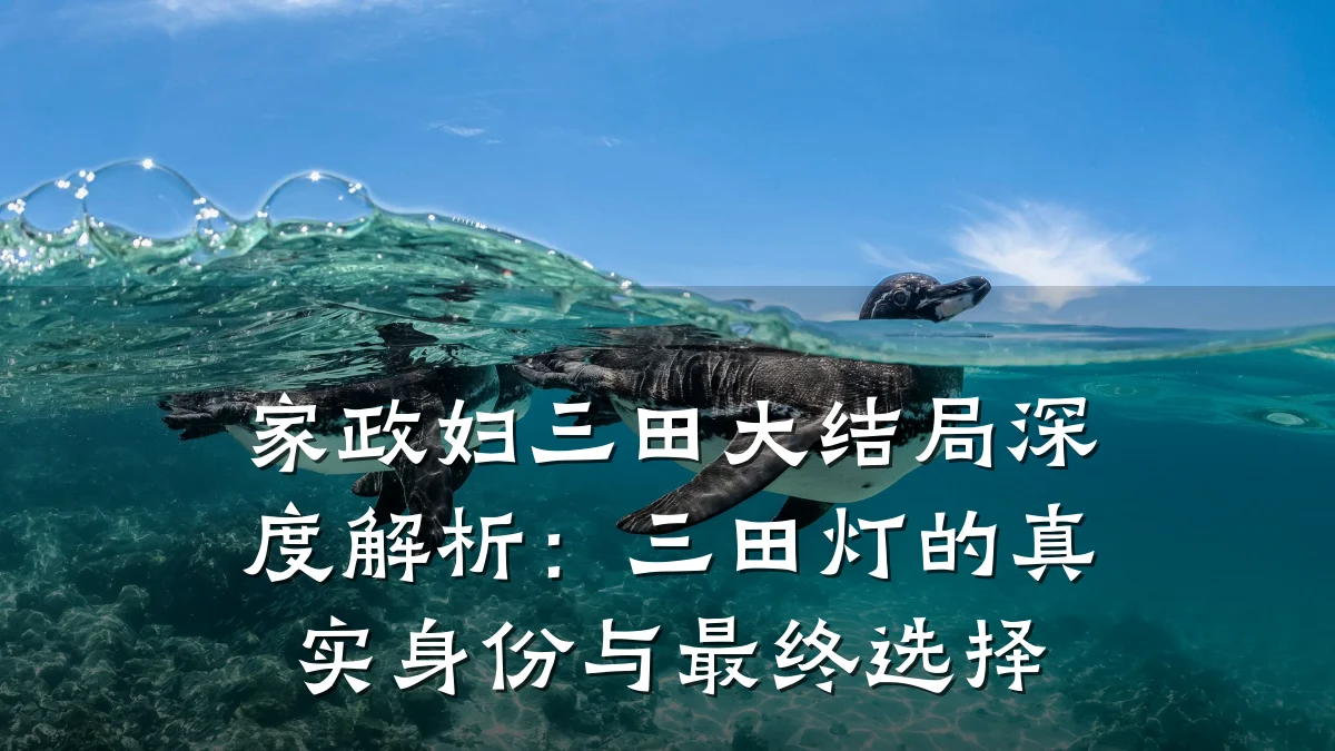 家政妇三田大结局深度解析:三田灯的真实身份与最终选择