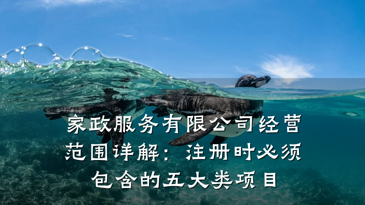 家政服务有限公司经营范围详解：注册时必须包含的五大类项目