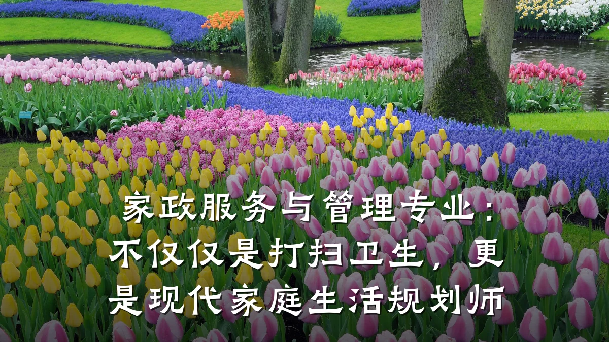 家政服务与管理专业:不仅仅是打扫卫生,更是现代家庭生活规划师