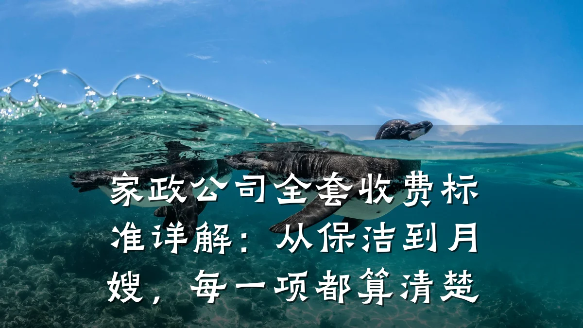 家政公司全套收费标准详解：从保洁到月嫂，每一项都算清楚