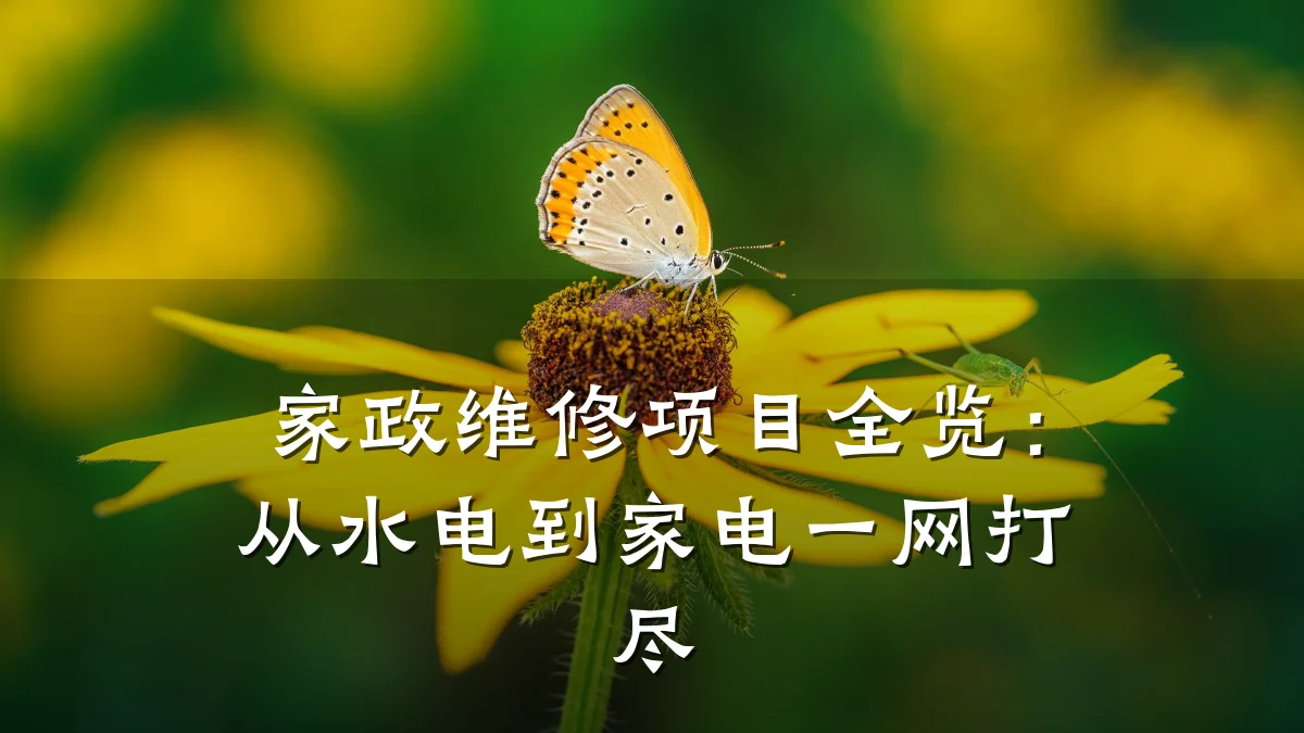 家政维修项目全览：从水电到家电一网打尽