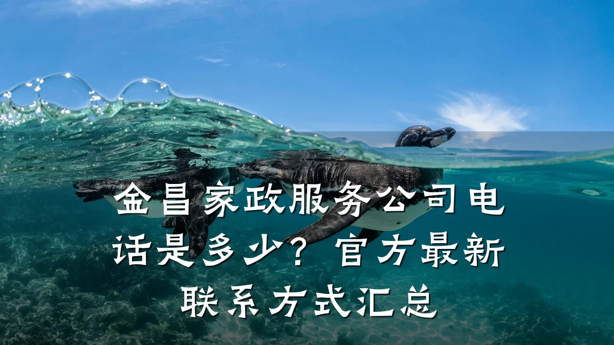 金昌家政服务公司电话是多少?官方最新联系方式汇总
