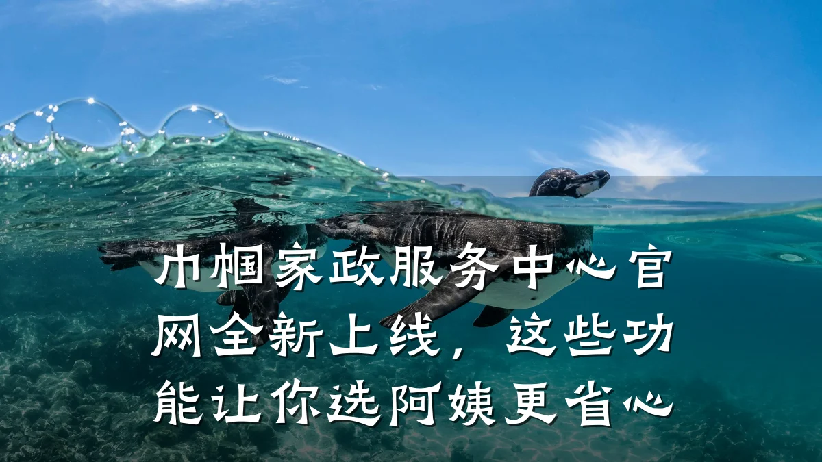 巾帼家政服务中心官网全新上线,这些功能让你选阿姨更省心