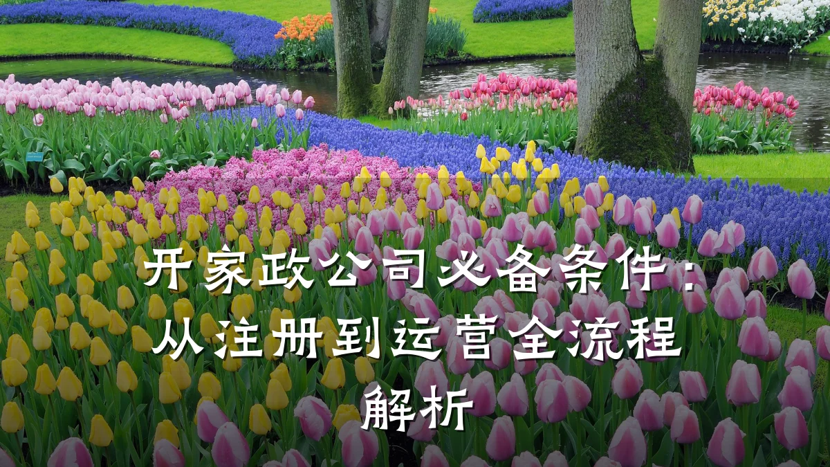 开家政公司必备条件:从注册到运营全流程解析