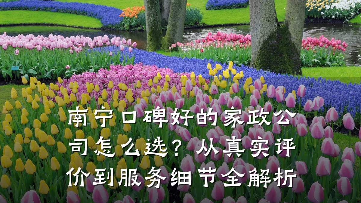 南宁口碑好的家政公司怎么选?从真实评价到服务细节全解析