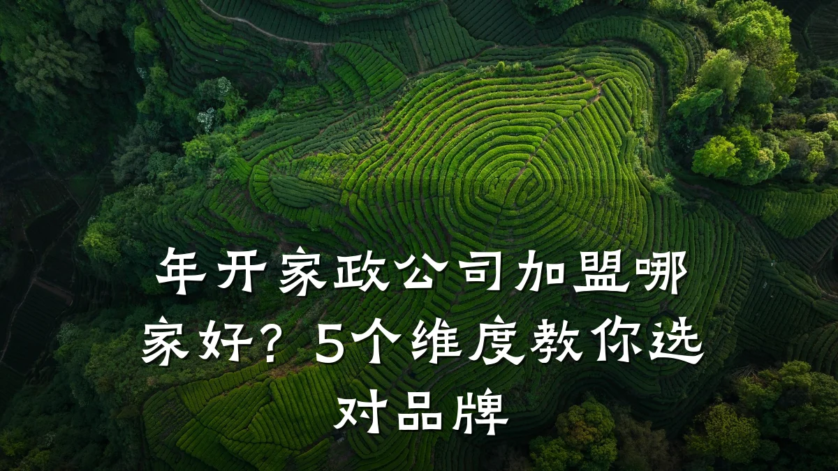 年开家政公司加盟哪家好?5个维度教你选对品牌