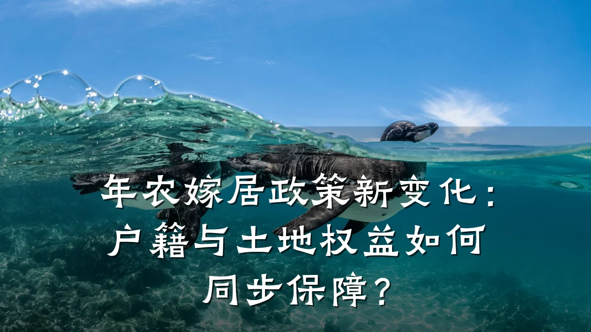 年农嫁居政策新变化:户籍与土地权益如何同步保障?