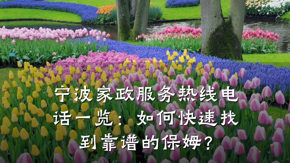 宁波家政服务热线电话一览:如何快速找到靠谱的保姆?