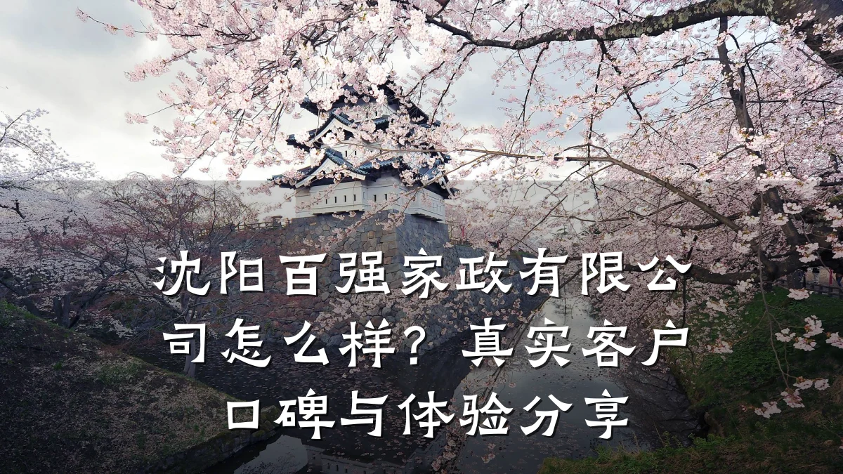 沈阳百强家政有限公司怎么样?真实客户口碑与体验分享