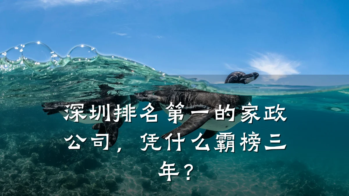深圳排名第一的家政公司,凭什么霸榜三年?