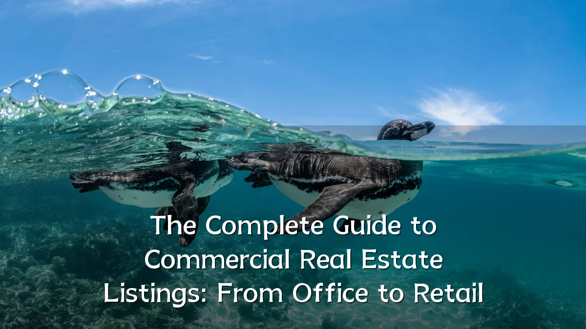 The Complete Guide to Commercial Real Estate Listings: From Office to Retail
