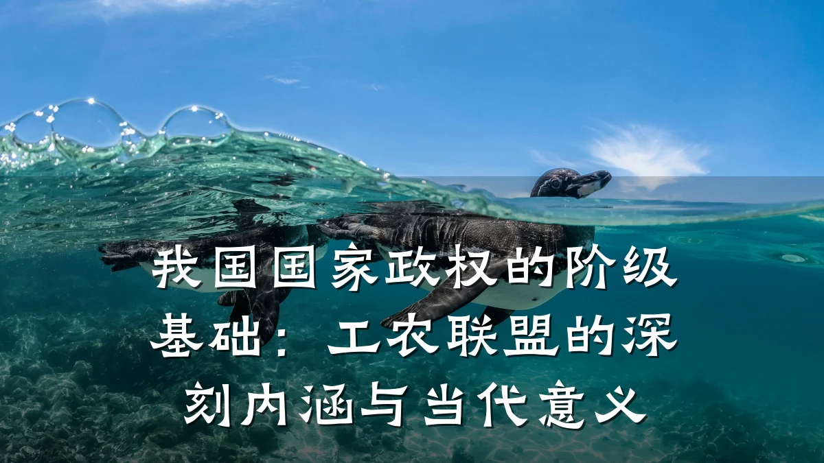 我国国家政权的阶级基础:工农联盟的深刻内涵与当代意义