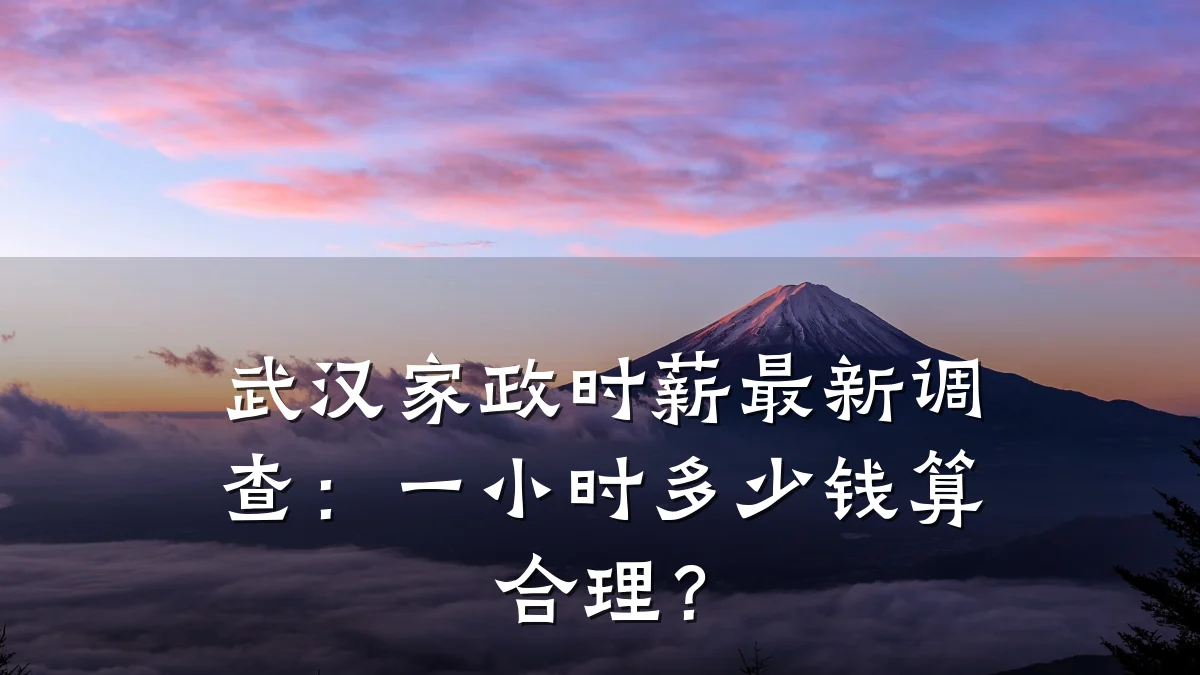武汉家政时薪最新调查:一小时多少钱算合理?