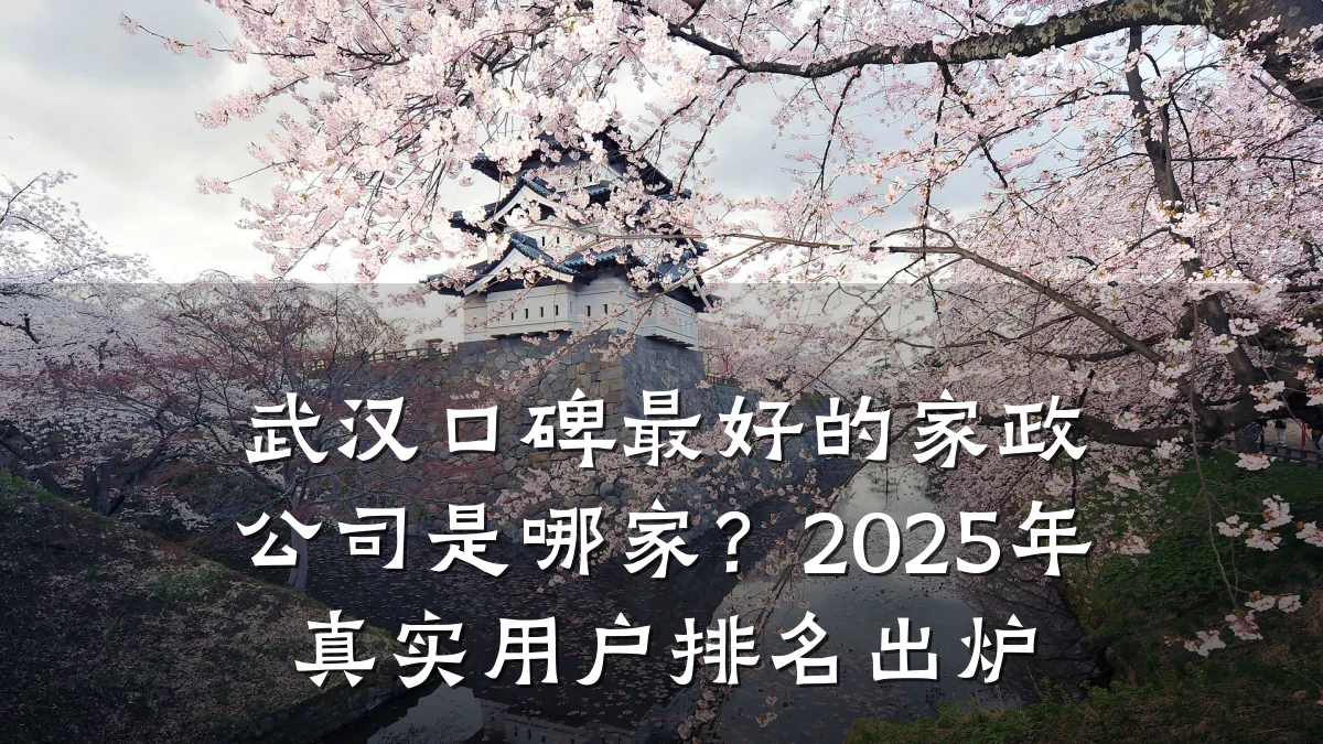 武汉口碑最好的家政公司是哪家?2025年真实用户排名出炉