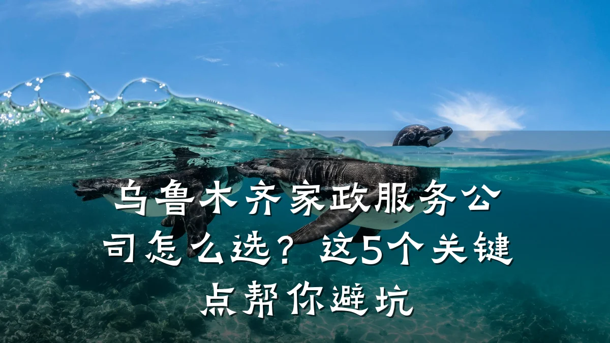 乌鲁木齐家政服务公司怎么选？这5个关键点帮你避坑