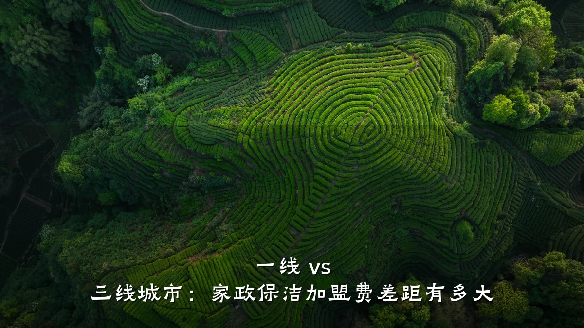 一线 vs 三线城市:家政保洁加盟费差距有多大