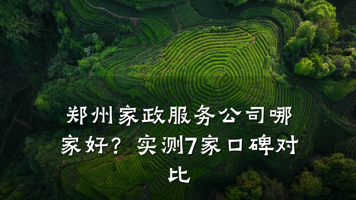郑州家政服务公司哪家好?实测7家口碑对比