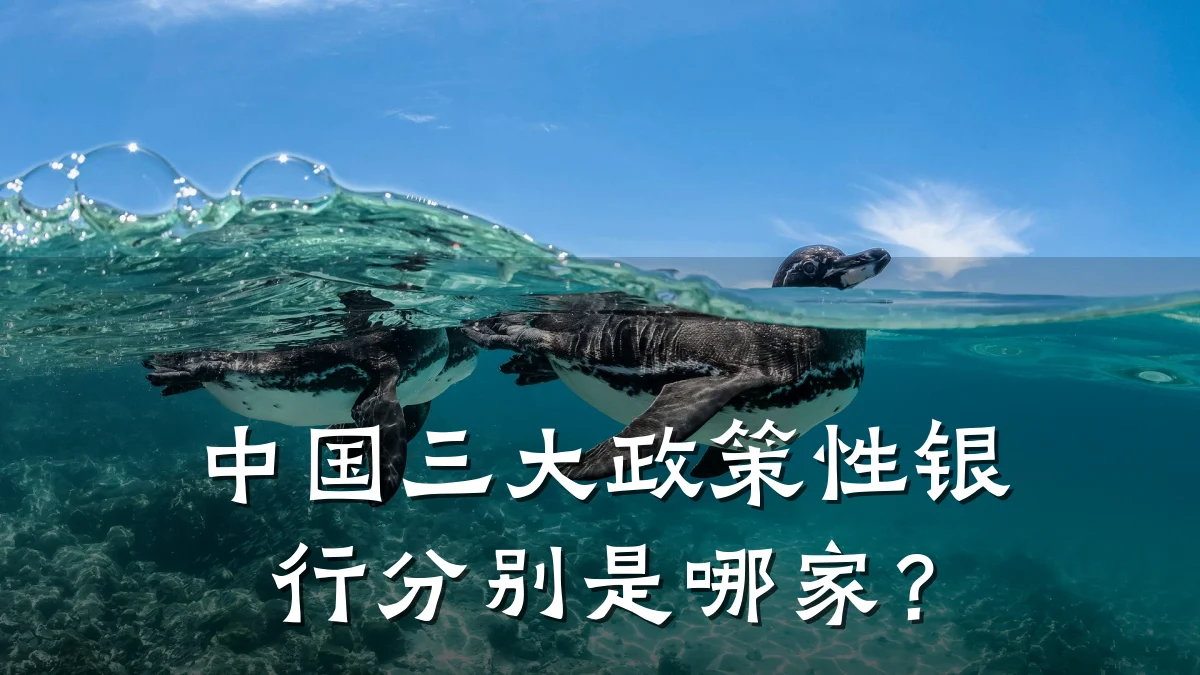 中国三大政策性银行分别是哪家？