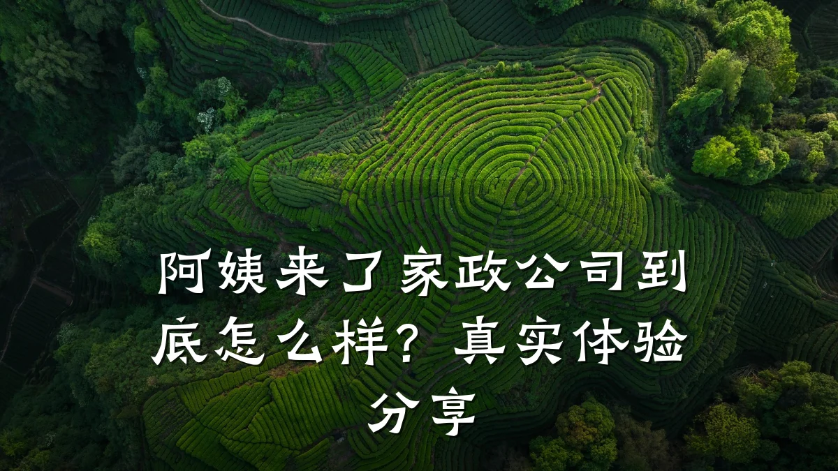 阿姨来了家政公司到底怎么样？真实体验分享