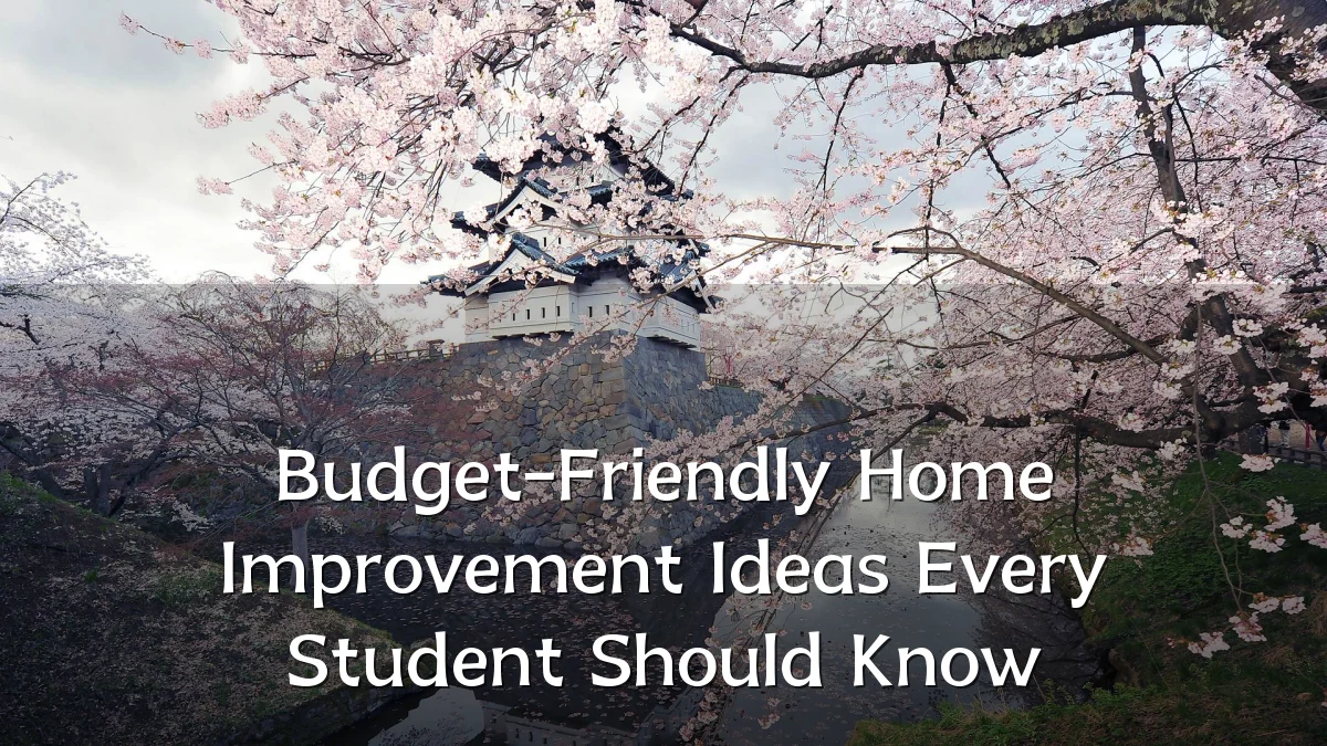 Budget-Friendly Home Improvement Ideas Every Student Should Know